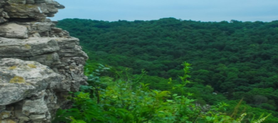 Photo Credit: Joshua Mayer -
Outcrop on the Prairie